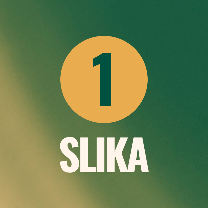 Broj slika koje će biti na posteru