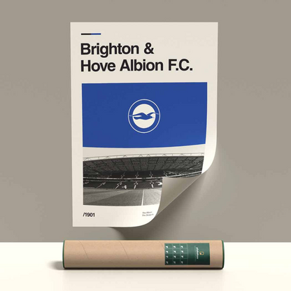 Brighton & Hove Albion