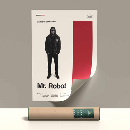 Mr. Robot